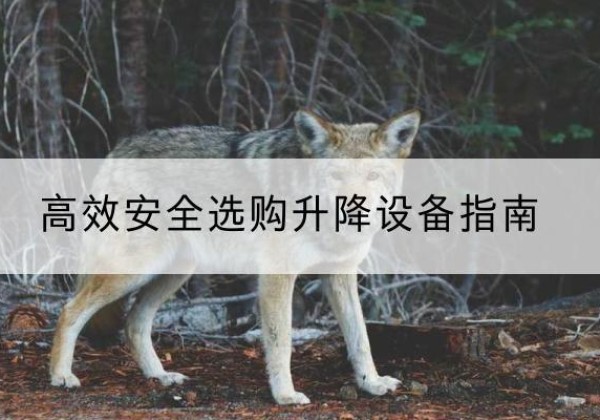 福鼎升降货梯厂家推荐-*安全选购升降设备指南