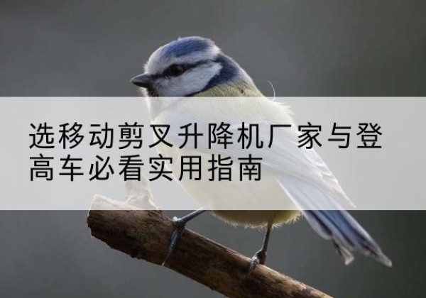 福鼎电动升降机厂家-选移动剪叉升降机厂家与登高车必看实用指南